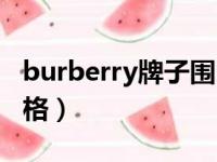 burberry牌子围巾多少钱（burberry围巾价格）