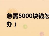 急需5000块钱怎么办?（急需5000块钱怎么办）