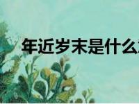 年近岁末是什么意思（岁末是什么意思）