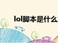 lol脚本是什么意思（lol脚本是什么）