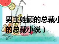 男主姓顾的总裁小说女主是个演员（男主姓顾的总裁小说）