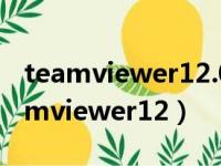 teamviewer12.0.76279版本手机下载（teamviewer12）