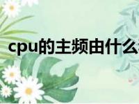 cpu的主频由什么和什么决定（cpu的主频）