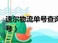 速尔物流单号查询快递（速尔物流单号查询单号）