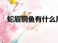 蛇眉铜鱼有什么用?（蛇眉铜鱼有什么用）