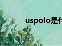 uspolo是什么品牌（uspolo）