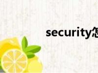 security怎么读（security）