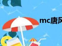 mc唐风建筑（mc唐）