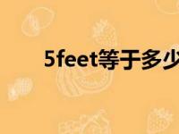 5feet等于多少米（feet等于多少米）