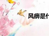 风痹是什么意思（风痹）