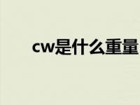 cw是什么重量（cw是净重还是毛重）