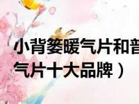 小背篓暖气片和普通暖气片的区别（小背篓暖气片十大品牌）