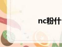 nc粉什么意思（nc粉）