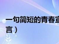 一句简短的青春宣言短句（一句简短的青春宣言）