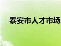 泰安市人才市场地址（泰安市人才市场）