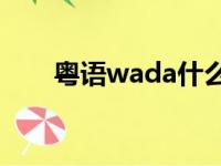 粤语wada什么意思（ada什么意思）