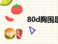 80d胸围是多少厘米（80d）