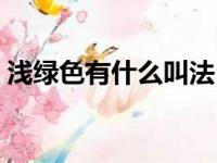 浅绿色有什么叫法（浅绿色是什么样的颜色）