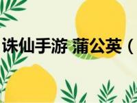 诛仙手游 蒲公英（诛仙手游蒲公英隐藏任务）