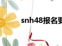 snh48报名要钱吗（snh48报名）