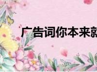 广告词你本来就很美（你本来就很美）