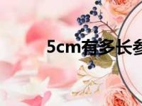 5cm有多长参照物（5cm有多长）