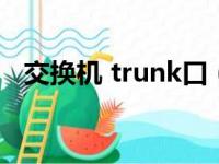 交换机 trunk口（交换机trunk端口配置）