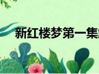 新红楼梦第一集解析（新红楼梦第一集）