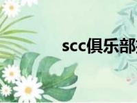 scc俱乐部招聘（scc俱乐部）