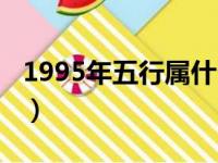 1995年五行属什么的命（1995年五行属什么）