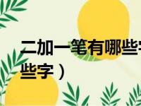 二加一笔有哪些字20个以上（二加一笔有哪些字）