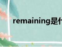 remaining是什么意思（remaining）