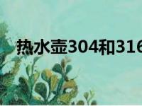 热水壶304和316不锈钢哪个好（热水壶）