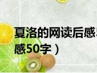 夏洛的网读后感50字六年级（夏洛的网读后感50字）