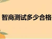 智商测试多少合格（智商测试多少分是正常）