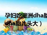 孕妇吃澳洲dha胎儿头大正常吗（孕妇吃澳洲dha胎儿头大）