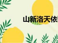 山新洛天依配音（山新洛天依）