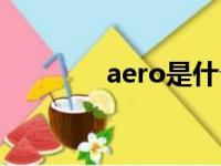 aero是什么意思啊（aero）