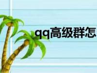 qq高级群怎么设置（qq高级群）