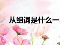 从组词是什么一年级（从的组词是什么）