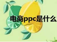 电商ppc是什么意思（ppc是什么意思）