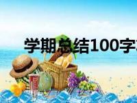 学期总结100字左右（学期总结100字）