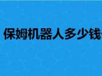 保姆机器人多少钱一台（机器人多少钱一台）