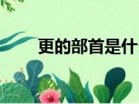 更的部首是什么（壮的部首是什么）