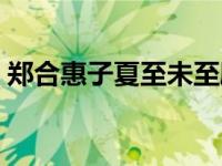 郑合惠子夏至未至剧照（郑合惠子夏至未至）