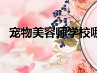 宠物美容师学校哪个好（宠物美容师学校）