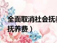 全面取消社会抚养费的征收（2018取消社会抚养费）