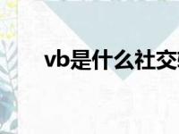 vb是什么社交软件（vb是什么软件）