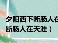 夕阳西下断肠人在天涯是什么意思（夕阳西下断肠人在天涯）