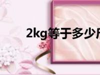 2kg等于多少斤（20kg等于多少斤）